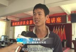 台湾教授爆料视频大全集,揭秘教育界内幕与真相