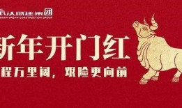 武汉城建最新爆料新闻,揭秘未来城市蓝图与重大项目建设进展