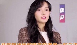 郑爽最新消息爆料视频大全,揭秘娱乐圈风云变幻