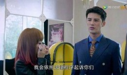 别惹我在线观看,一场惊心动魄的复仇之旅
