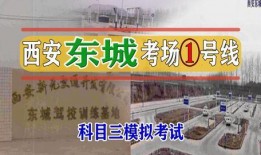 龙东科目三爆料视频最新,揭秘驾考新规下的实战技巧与应对策略