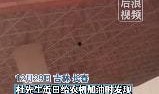 榆树今日爆料新闻报道,聚焦热点事件，揭示真相！
