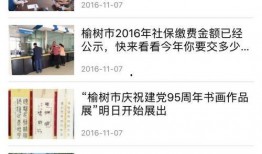 榆树今日爆料新闻报道,聚焦热点事件，揭示真相！