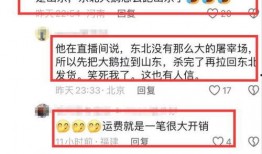 有网友爆料大鹅吗视频播放,大鹅视频播放引发热议，究竟有何内幕？