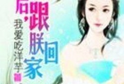 网红吃瓜薛小婉小说阅读,网红吃瓜背后的故事与启示
