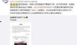 蓝翔老师爆料微博视频下载