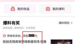 今日头条大连爆料,揭秘城市热点事件背后的真相