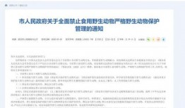 社会新闻怎么爆料的呢,真相与传播的交织