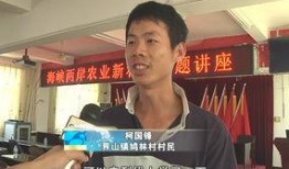 台湾教授爆料视频大全集,揭秘教育界内幕与真相