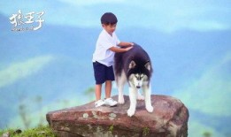 狼王子01在线观看土豆,土豆独家首播，热血冒险即将开启！