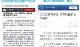 米易新闻网爆料