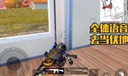 和平精英主播爆料最新,神秘更新即将到来，游戏体验再升级！