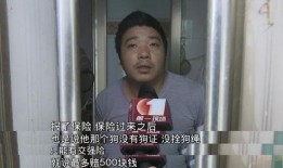 爆料东莞山鸡视频播放,揭秘网络传播背后的真相