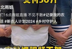 网友爆料东北雨姐视频,揭秘生活日常引发网友热议