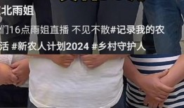 网友爆料东北雨姐视频,揭秘生活日常引发网友热议