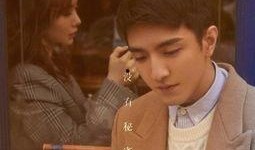 娱乐圈甜宠文吃瓜,娱乐圈甜宠文里的甜蜜瞬间