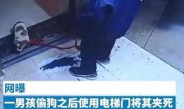 对镜爆料小男孩视频播放,揭秘小男孩神秘视频背后的真相