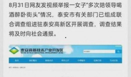 菏泽最新出轨爆料信息网,揭秘不为人知的情感漩涡