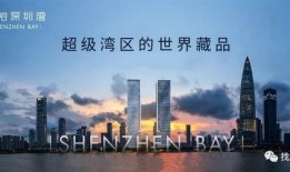 深圳湾一号最新爆料,奢华海景豪宅背后的故事