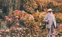 花之庭在线观看,浪漫邂逅，穿越时空的美丽传说