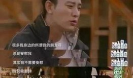 爆料贾乃亮恋情事件视频,视频揭秘神秘女友身份