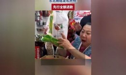 网友爆料东北雨姐视频,揭秘生活日常引发网友热议