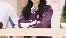 圈内人员爆料白鹿视频,圈内人员独家爆料揭秘