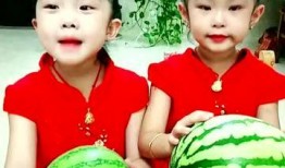 吃瓜小妈免费阅读,揭秘娱乐圈背后的故事