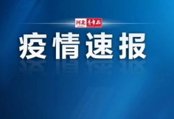 藁城爆料最新新闻视频,视频揭示惊人事件，详情揭晓！