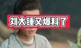 陈大锤爆料的视频大全,视频大全背后的惊人真相