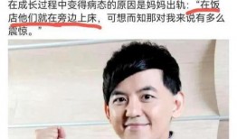 娱乐圈爆料地震的明星,揭秘那些因爆料地震而引发热议的明星