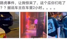陇南市网红吃瓜事件始末,一场网络狂欢背后的真相与反思