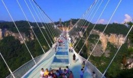 张家界新瓜最新爆料,揭秘神秘事件背后的真相