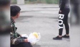 爆料虫子玩具视频播放,惊悚瞬间引发网友热议