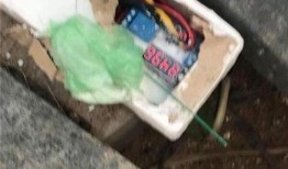 柬埔寨赌场爆料视频,揭秘奢华背后的黑暗面