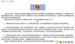 固安翟氏爆料事件最新情况,最新进展与各方动态解析