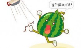 吃瓜小妈免费阅读,揭秘娱乐圈背后的故事