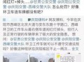 西峰爆料视频,事件背后惊人真相