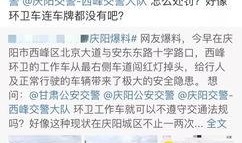 西峰爆料视频,事件背后惊人真相