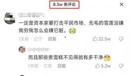 爆料雪莲视频在线观看,在线观看背后的秘密与精彩瞬间