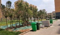 玉桂园最新爆料,揭秘神秘事件背后的惊人真相