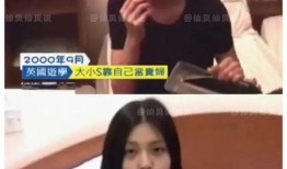 李玫家保姆爆料了吗视频,视频爆料真相大白