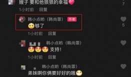 古董商爆料视频大全,视频大全中的珍稀古董故事