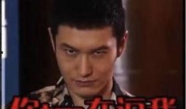明星互相爆料黑历史视频,明星互爆黑历史，真相揭露引热议