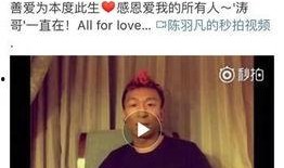 娱乐圈暴力爆料,揭开明星背后的黑暗面