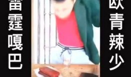 鬼畜爆料视频大全,揭秘网络奇观背后的趣味与真相