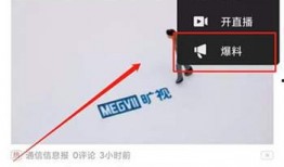 爆料视频挣钱违法吗,违法边缘的灰色地带