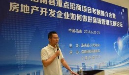 洛南爆料最新新闻报道,最新热点事件深度解析