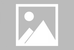 枫丹外网爆料最新消息新闻,揭秘神秘事件背后真相