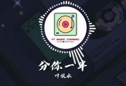 抖音爆料歌曲大全视频最新,最新爆料视频带你领略热门旋律